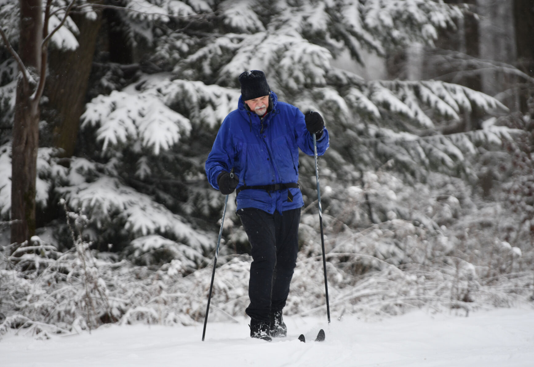 Cross Country Skier